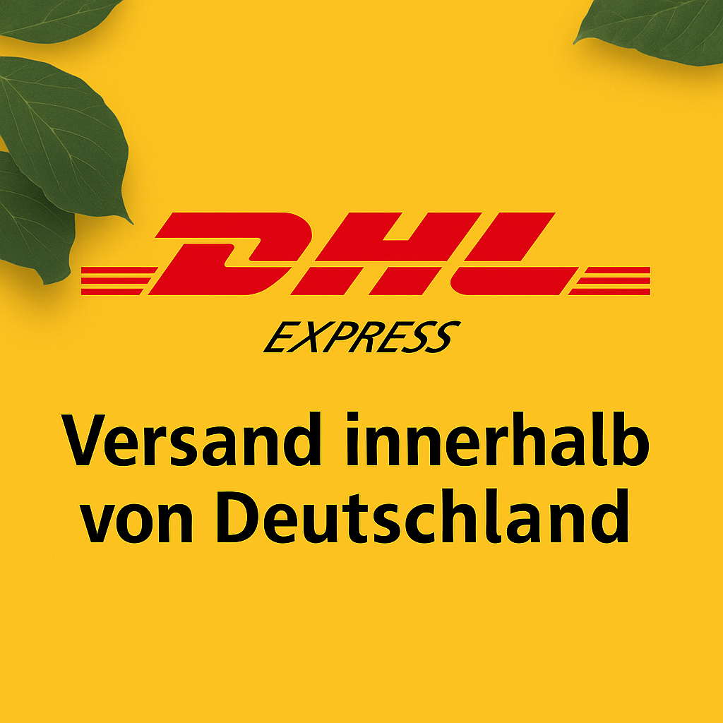 DHL Express Versand innerhalb von Deutschland